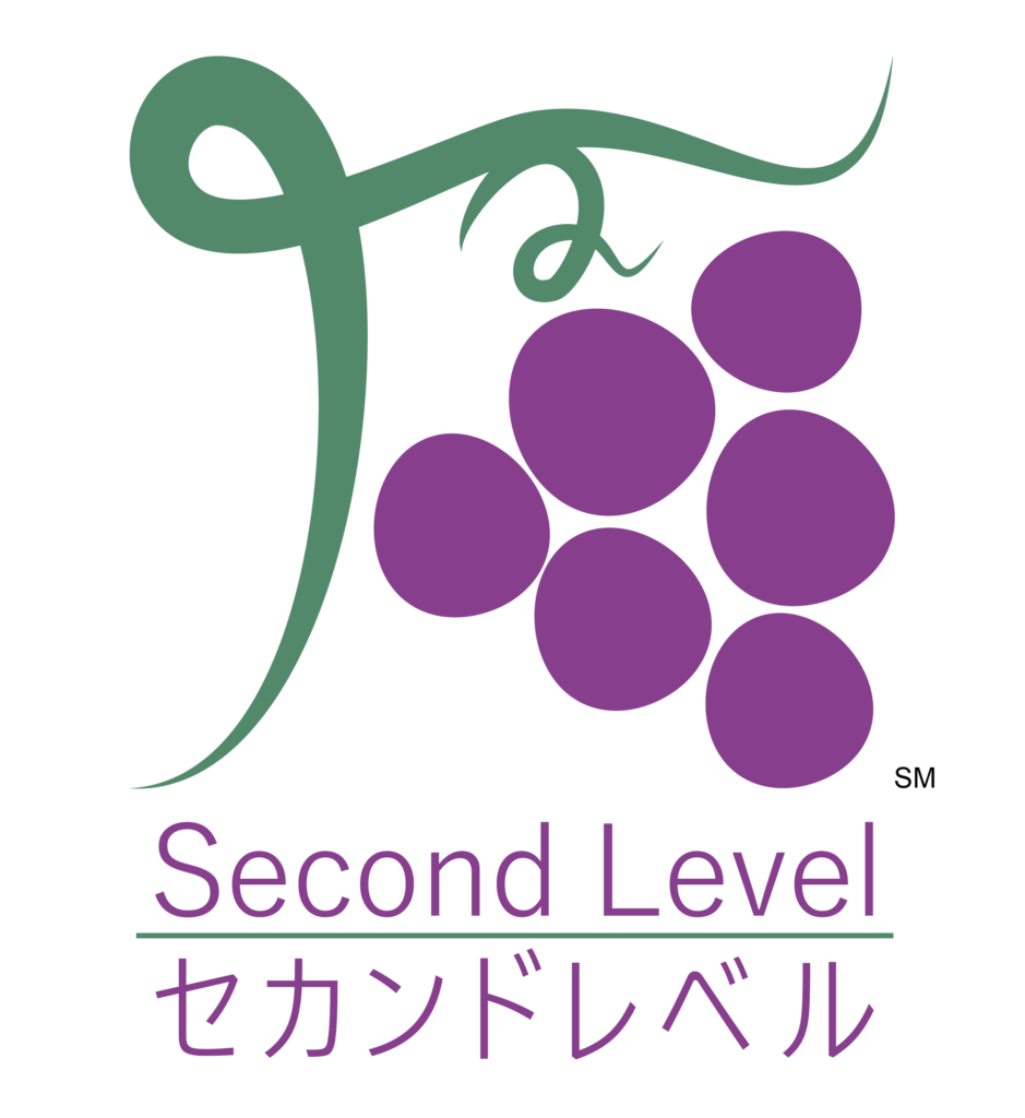 About Second Level
